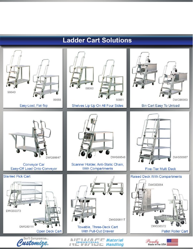 Ladders Carts Flyer (Customizable)