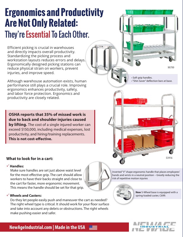 Picking Carts: Ergonomics Meets Productivity