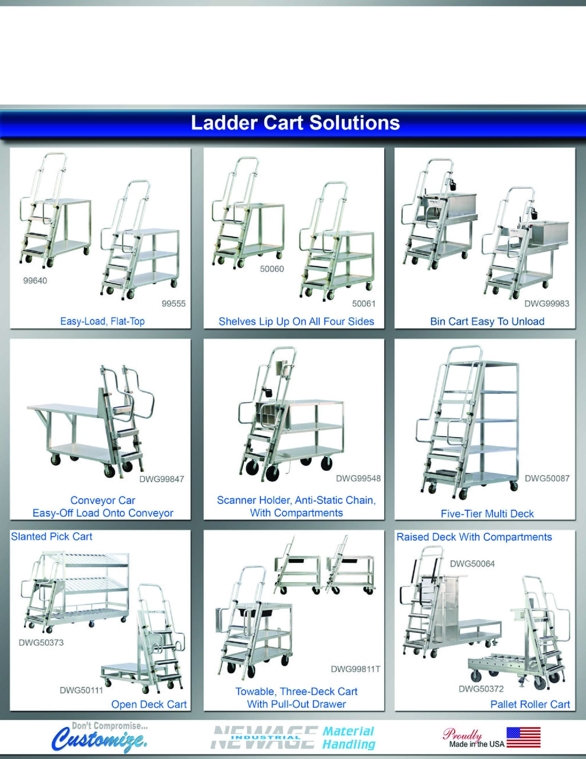 Ladders Carts Flyer (Customizable)